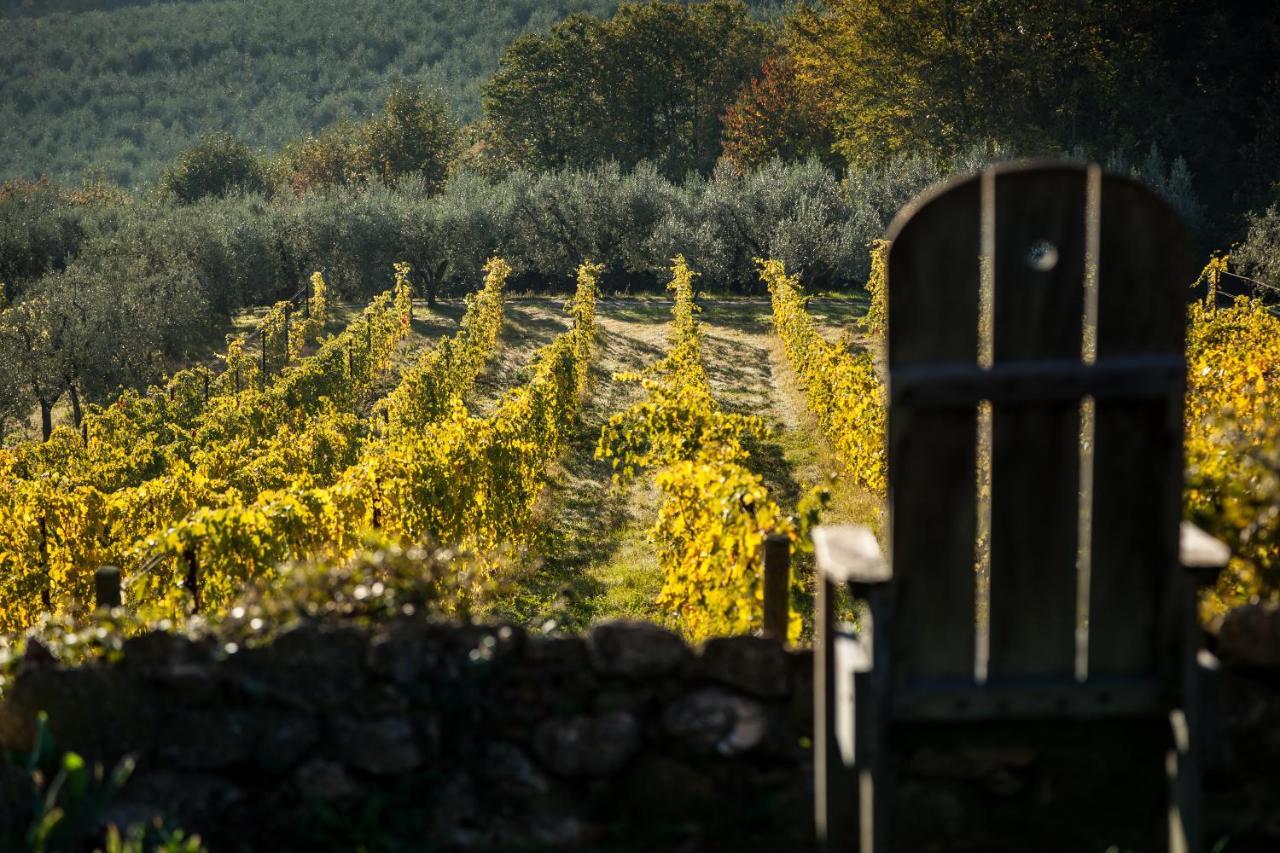 圣马蒂诺农家乐 Montepulciano Stazione 外观 照片
